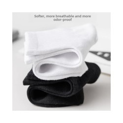 Classic Crew Socks